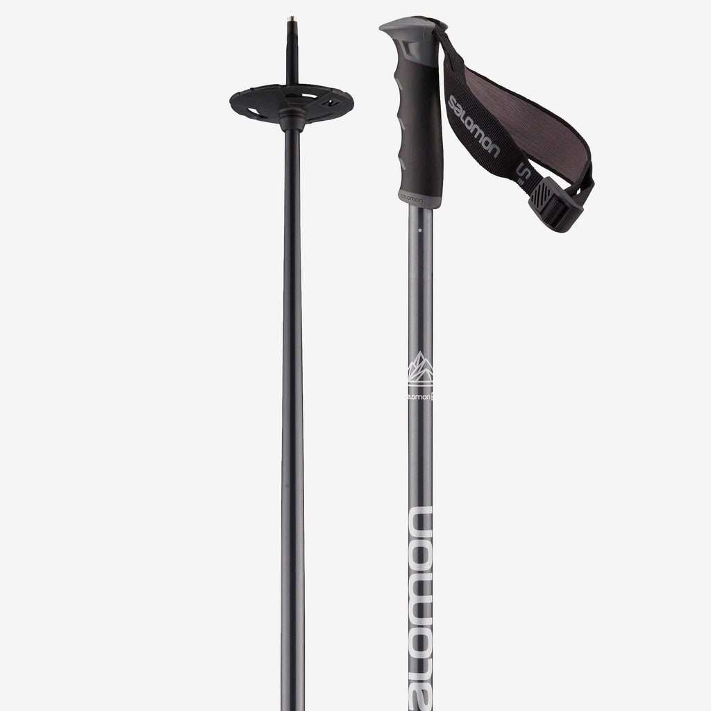 Ski Poles T58009