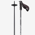 Ski Poles T58009