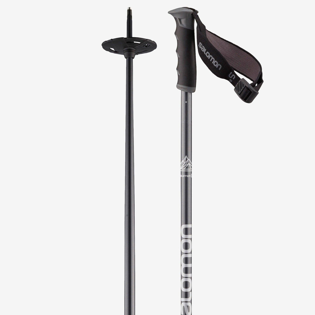 Ski Poles T58009