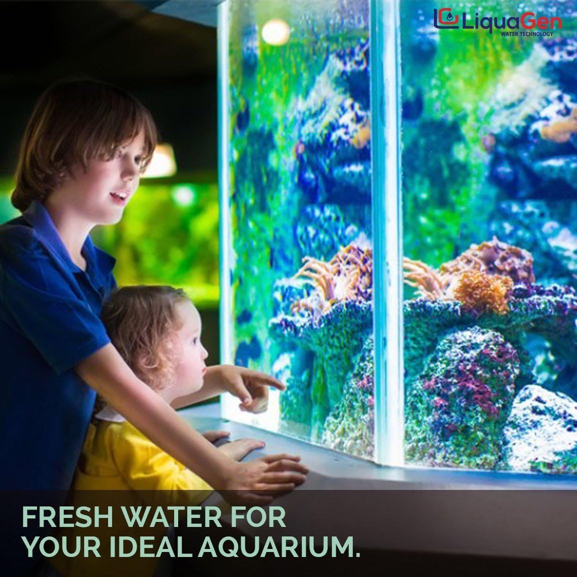 Aquarium Reef Reverse Osmosis Deionization Water Filter System with TDS Meter, Pressure Gauge and Electrical High Flow Booster Pump K379780