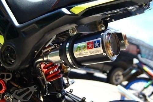 Dual High Mount Racing Exhaust U1573