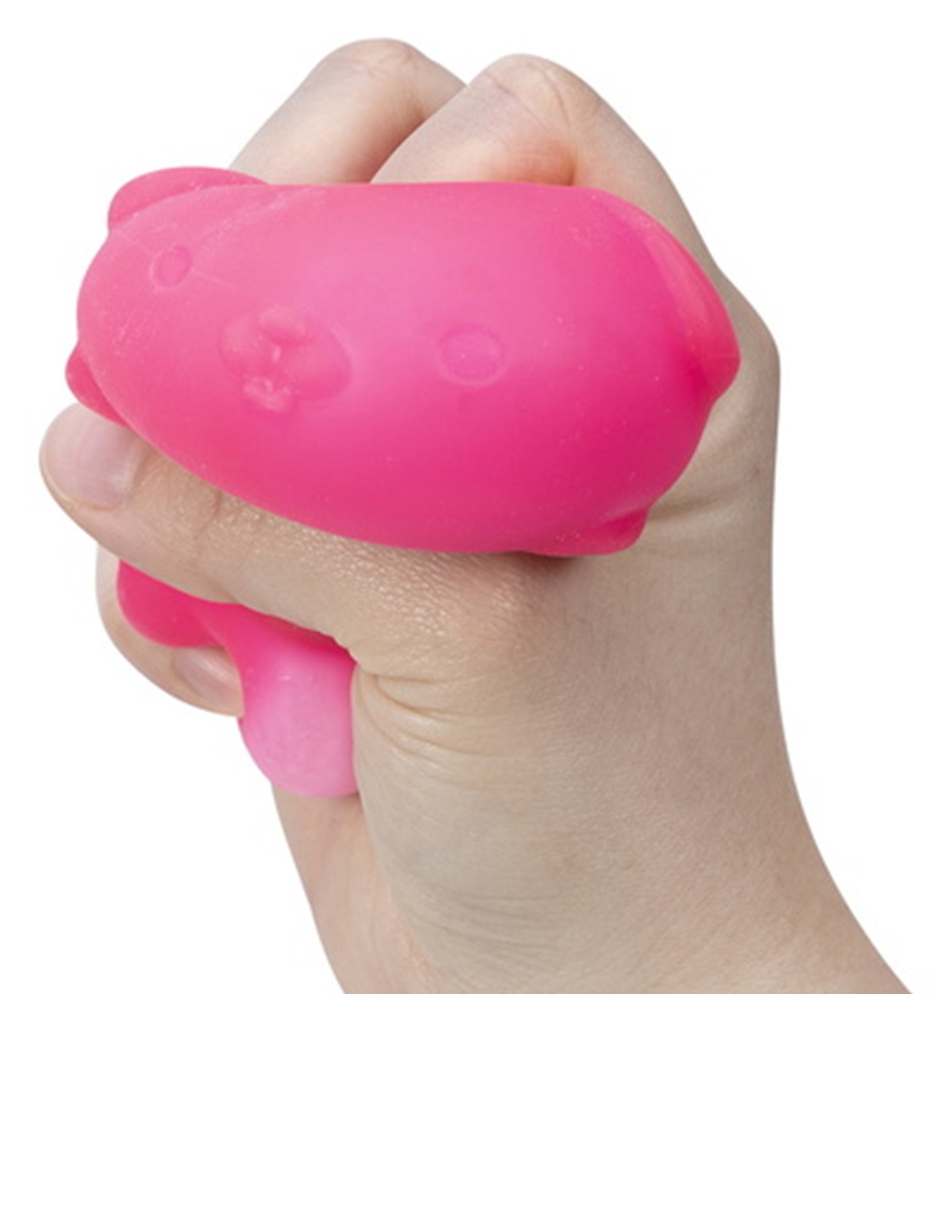 Squeeze NeeDoh Funky Pup Squeezy Stress Toy G5410