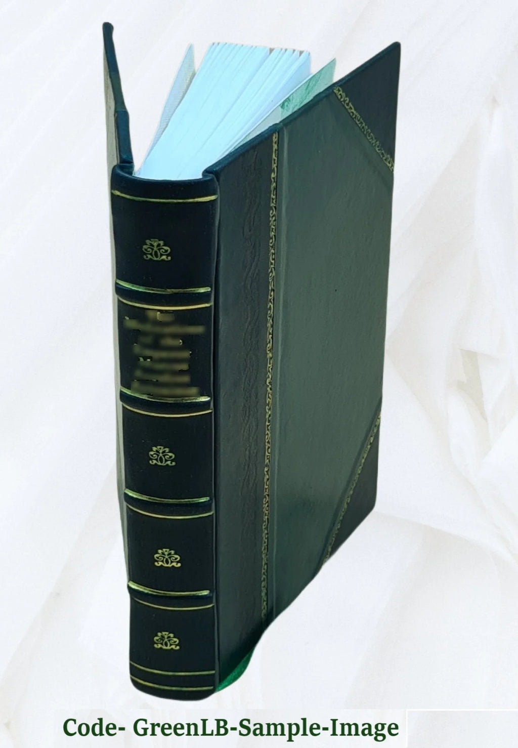 Leather Bound Roman Y82587