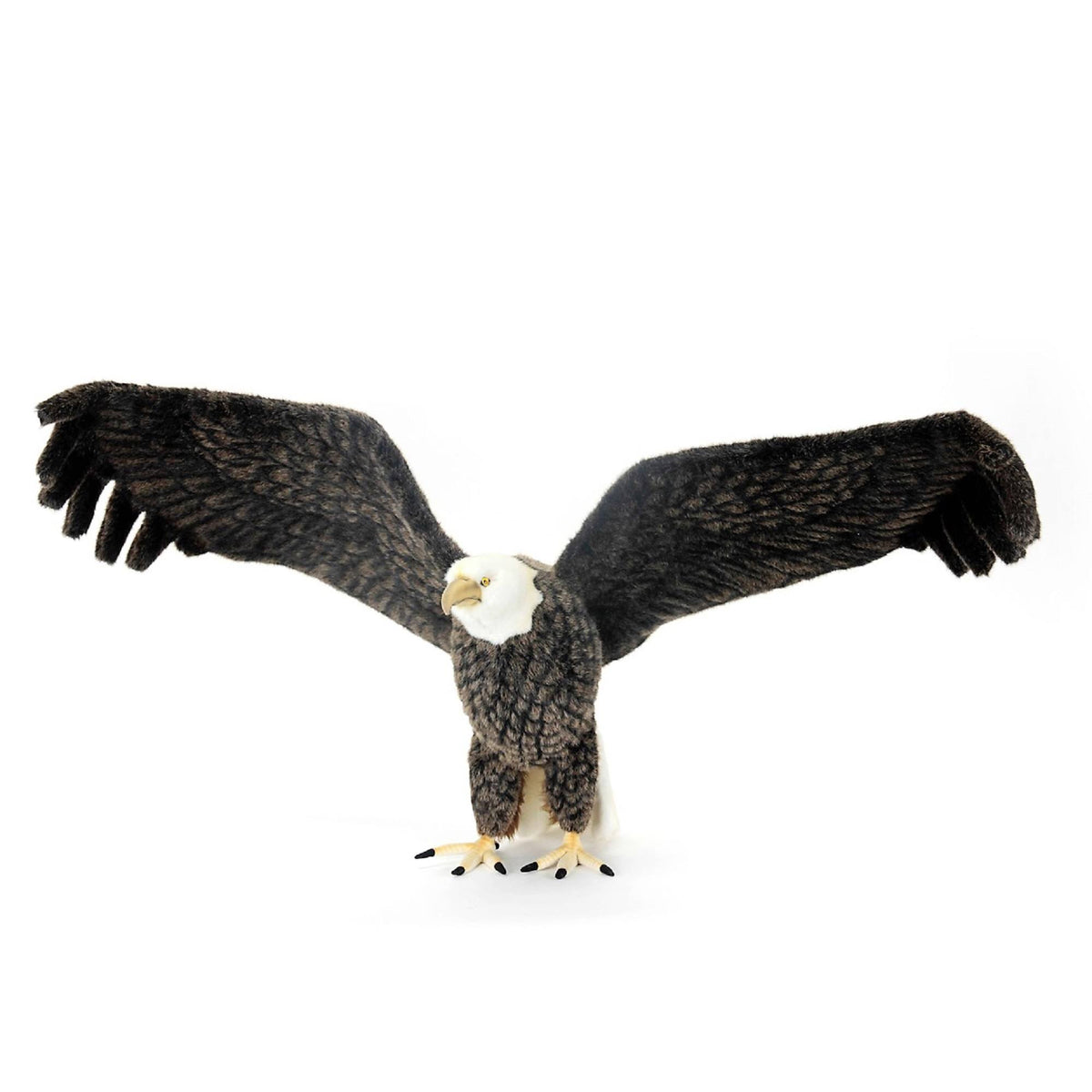 Life Size Eagle B7689