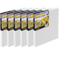 Box of 6 Canvas, 20 inch x 30 inch, 11/16 inch Deep C8060