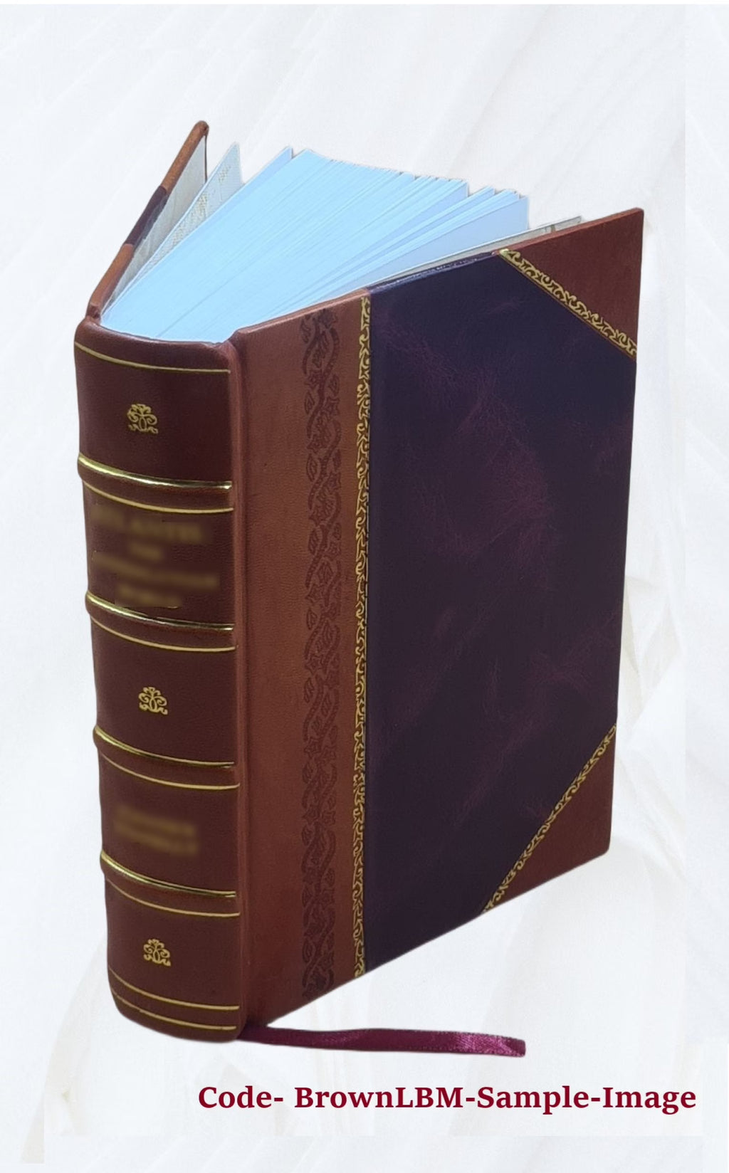 Leather Bound Book H115253