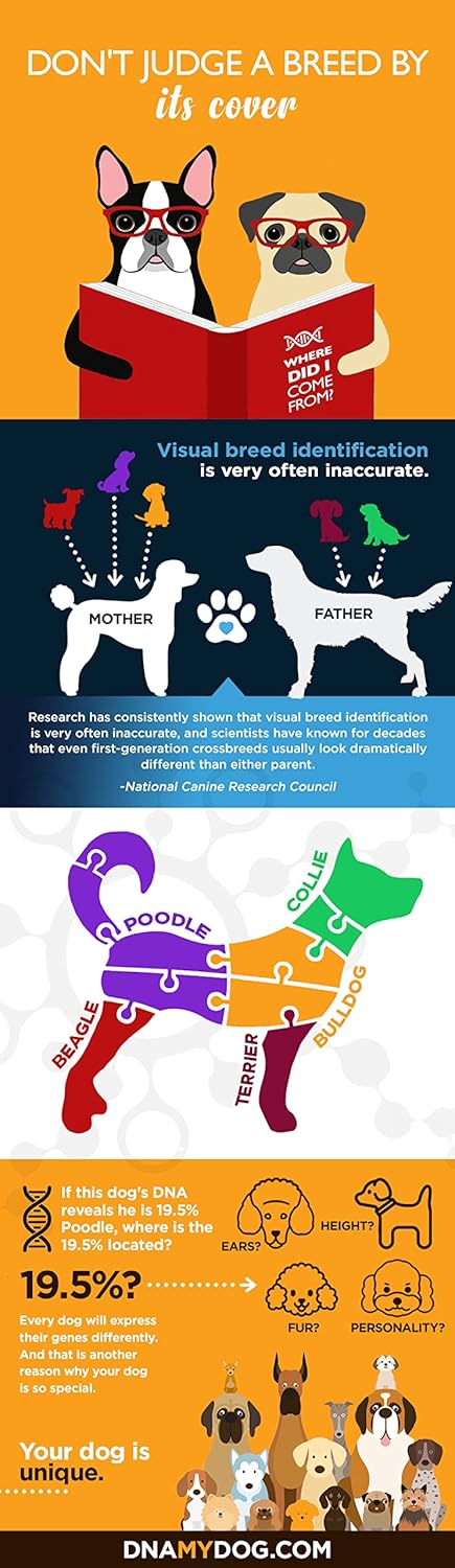 Canine Breed Identification Test Pack of 2 X37613