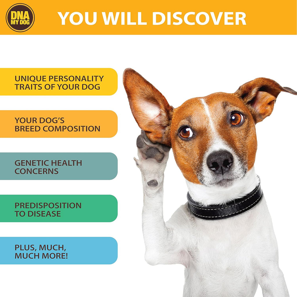 Canine Breed Identification Test Pack of 2 X37613