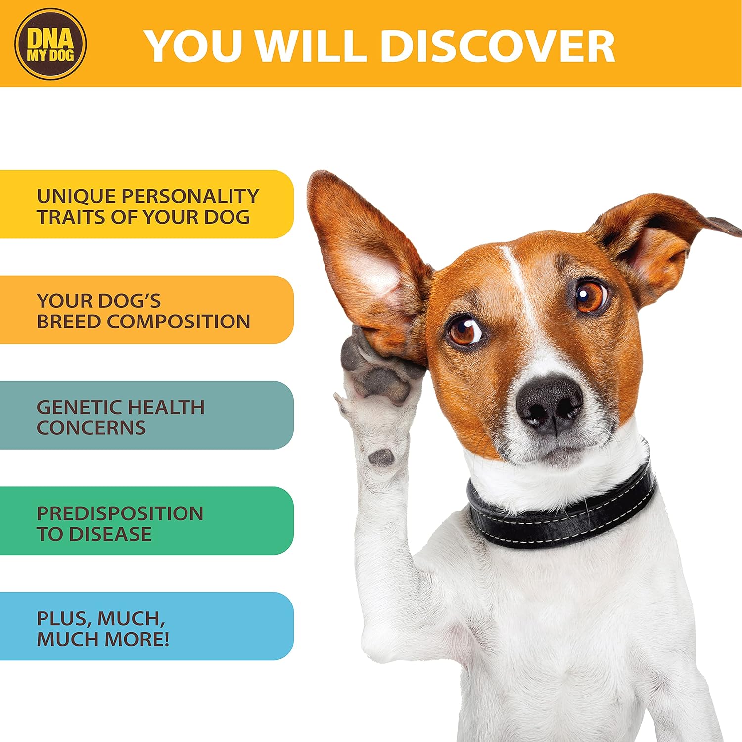 Canine Breed Identification Test Pack of 2 X37613