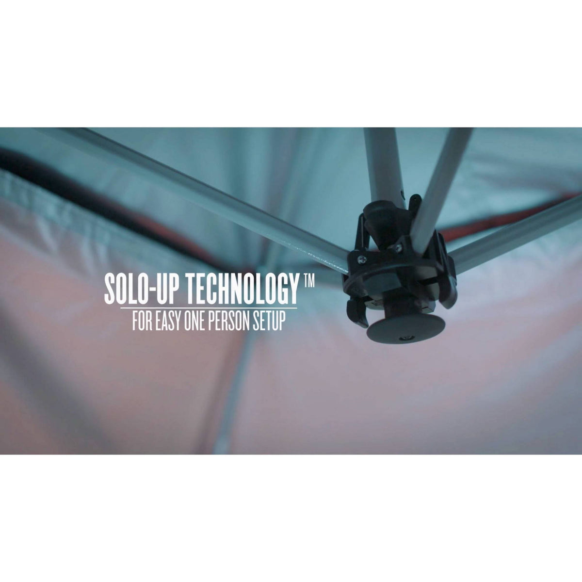 Pagoda Canopy R59931