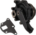 Gray Water Pump Pack of 2 G25104