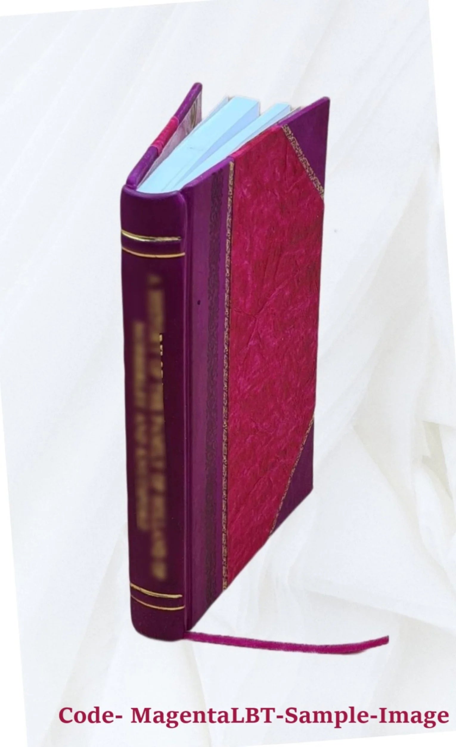 Leather Bound Book H853801