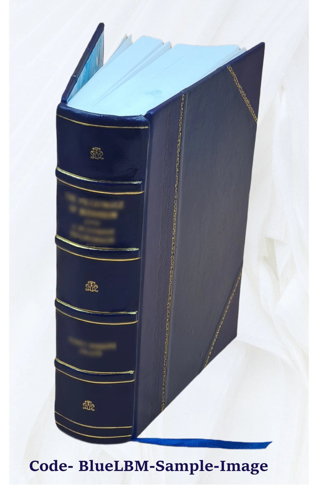 Leather Bound Book H115253