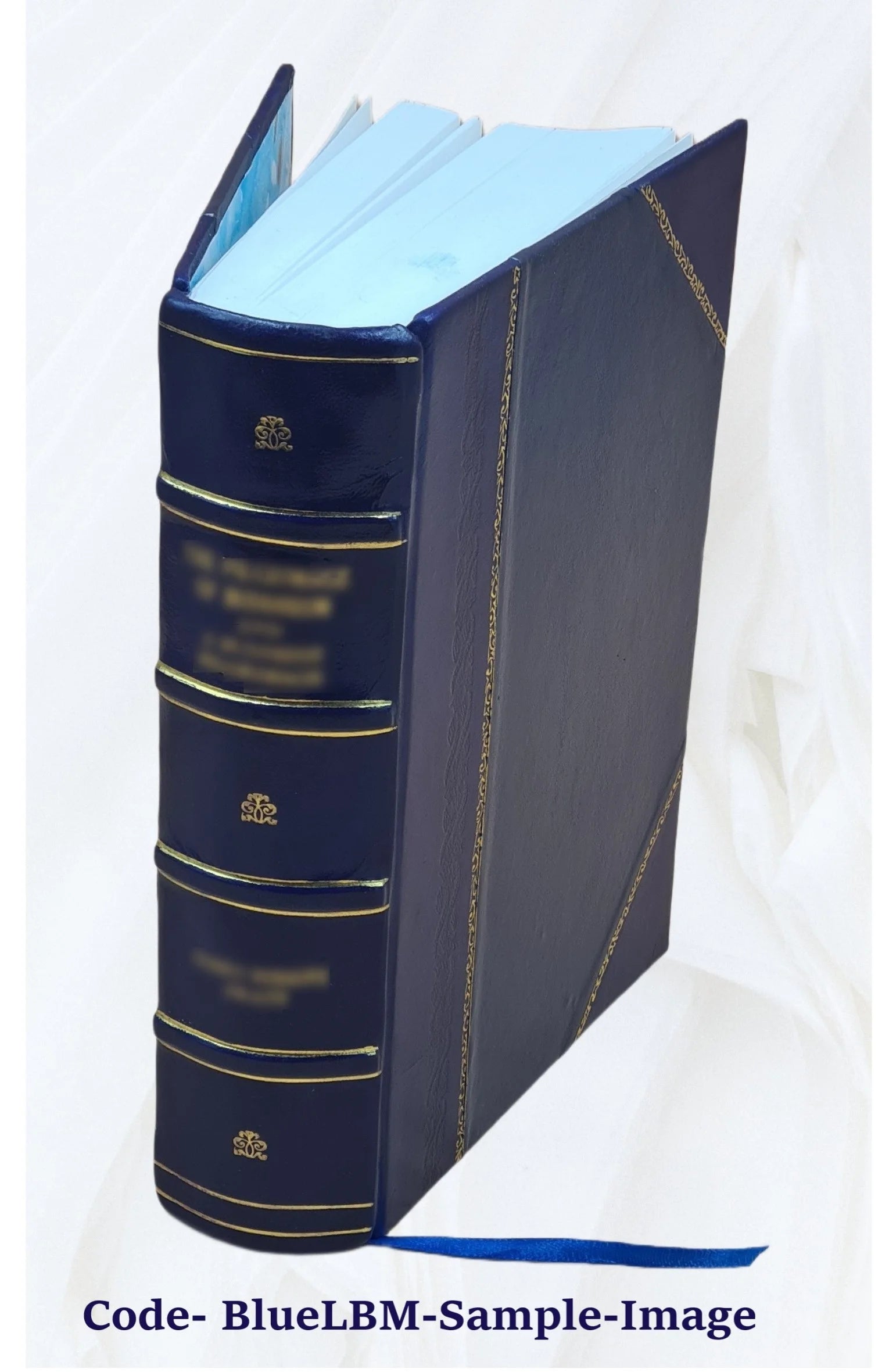 Leather Bound Book B248
