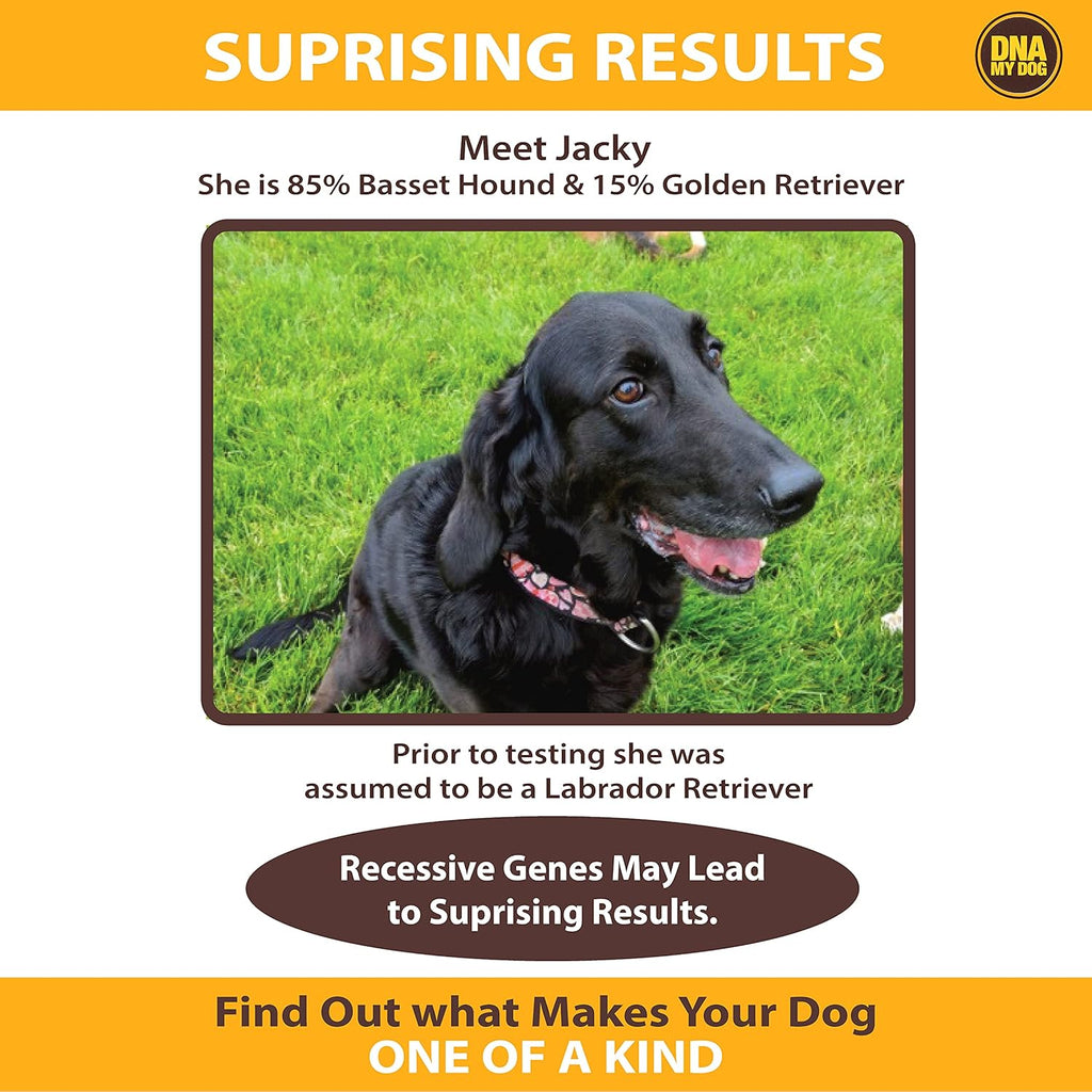 Canine Breed Identification Test Pack of 2 X37613