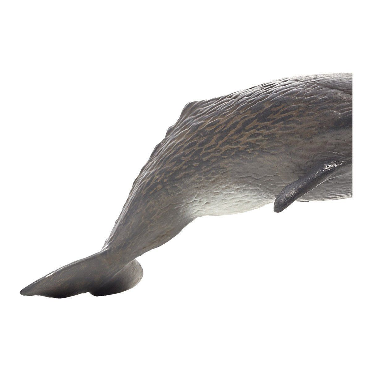 Large Sperm Whale Wildlife Figurine R92200