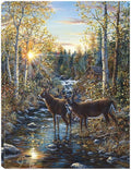 24x32 Canvas Art A352683
