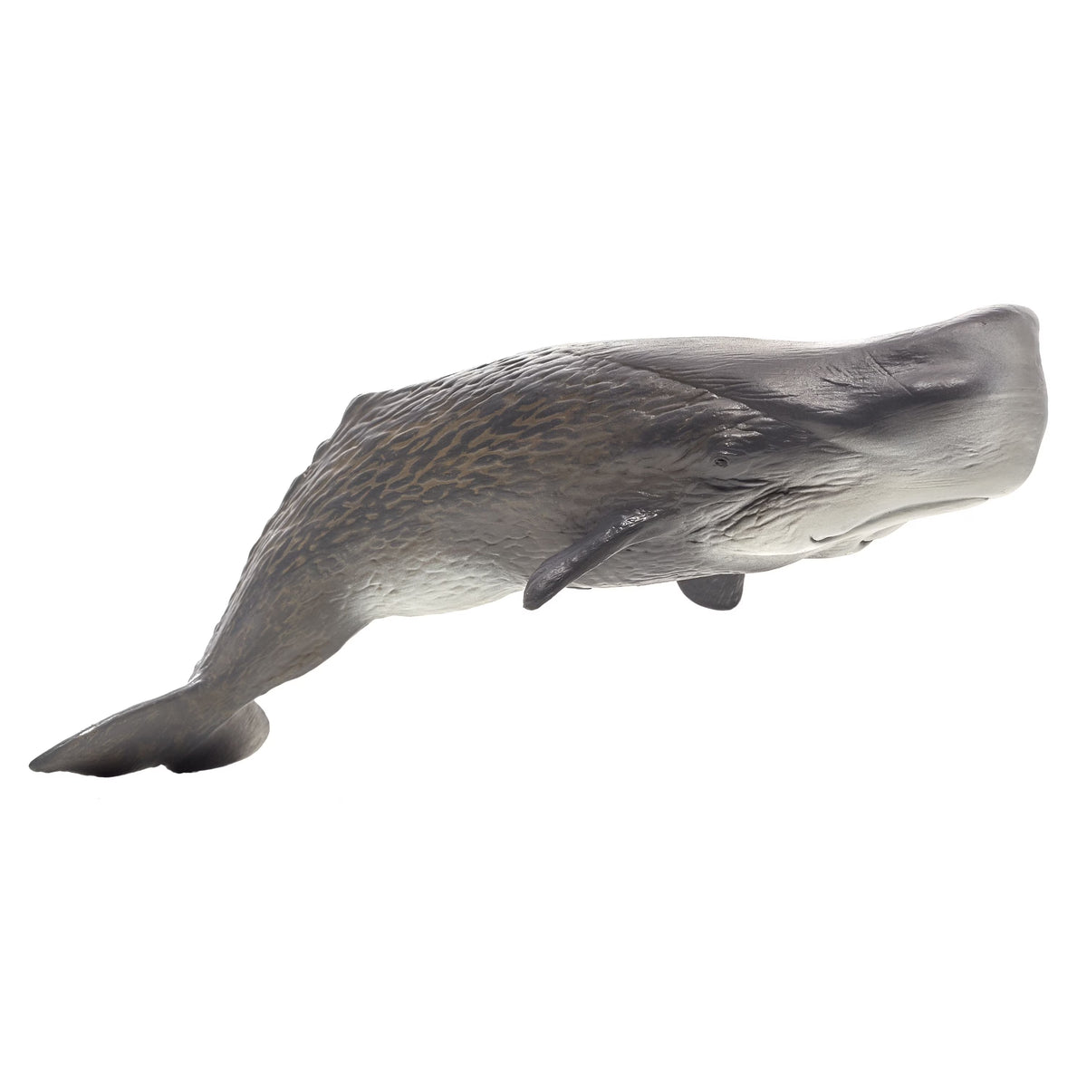 Large Sperm Whale Wildlife Figurine R92200