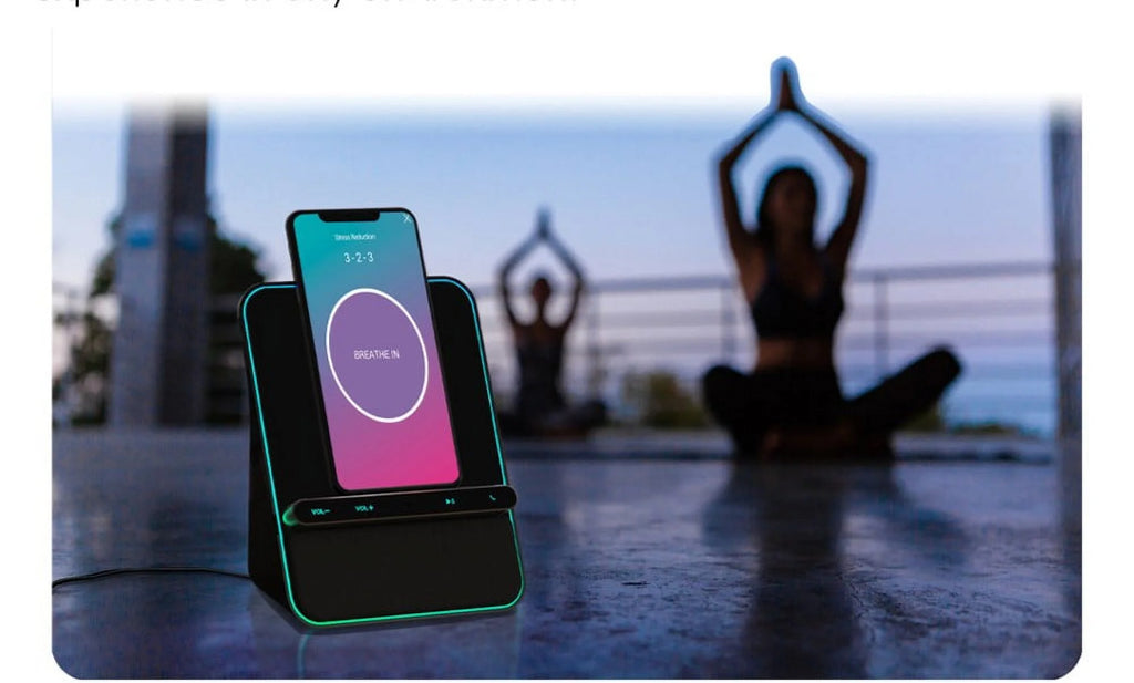 Wireless Charging Bluetooth Speaker with Handsfree Call C2664