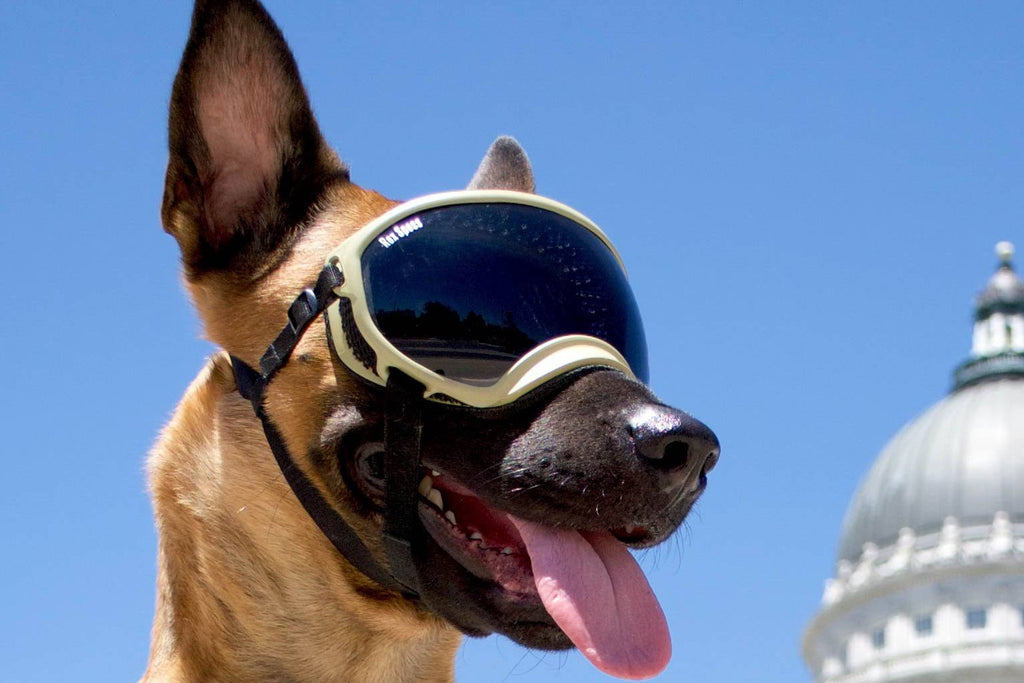 Army Green Dog Goggles with 2 Clear Lenses W2800