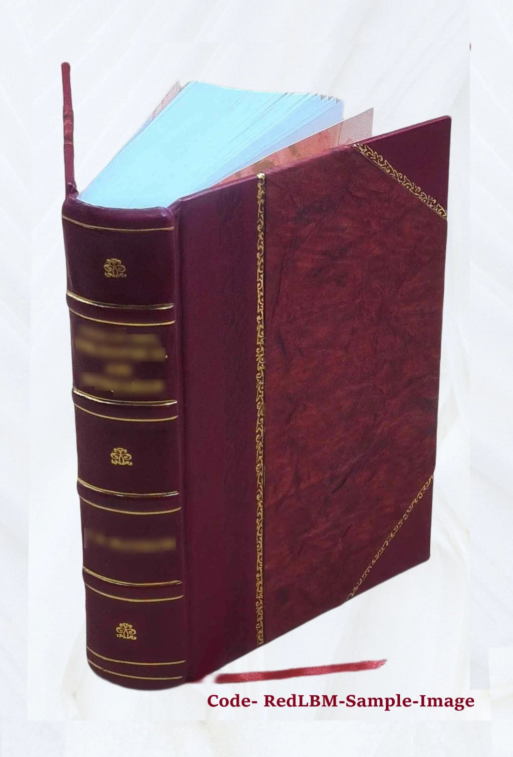 Leather Bound Book B248