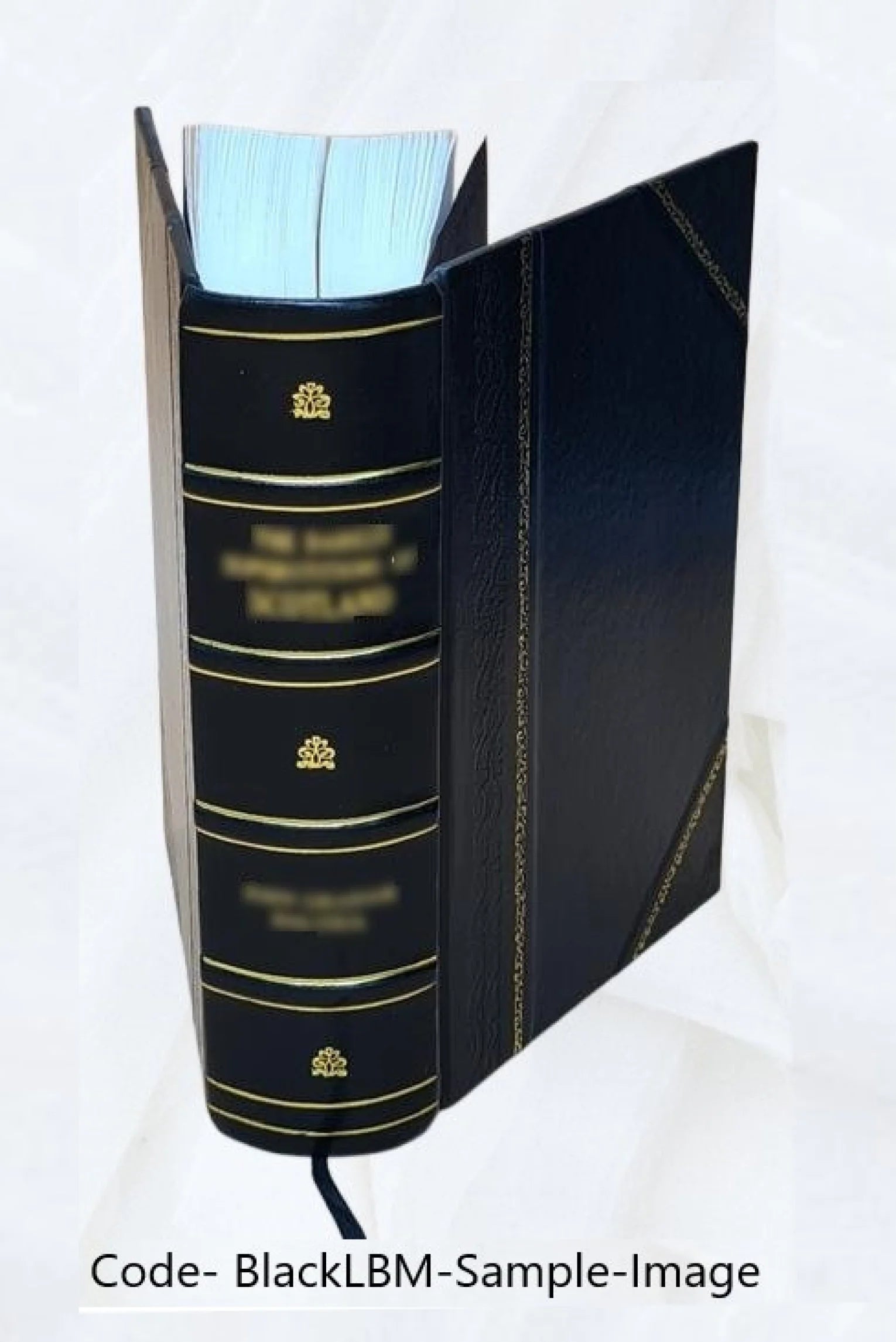 Leather Bound Book H115253