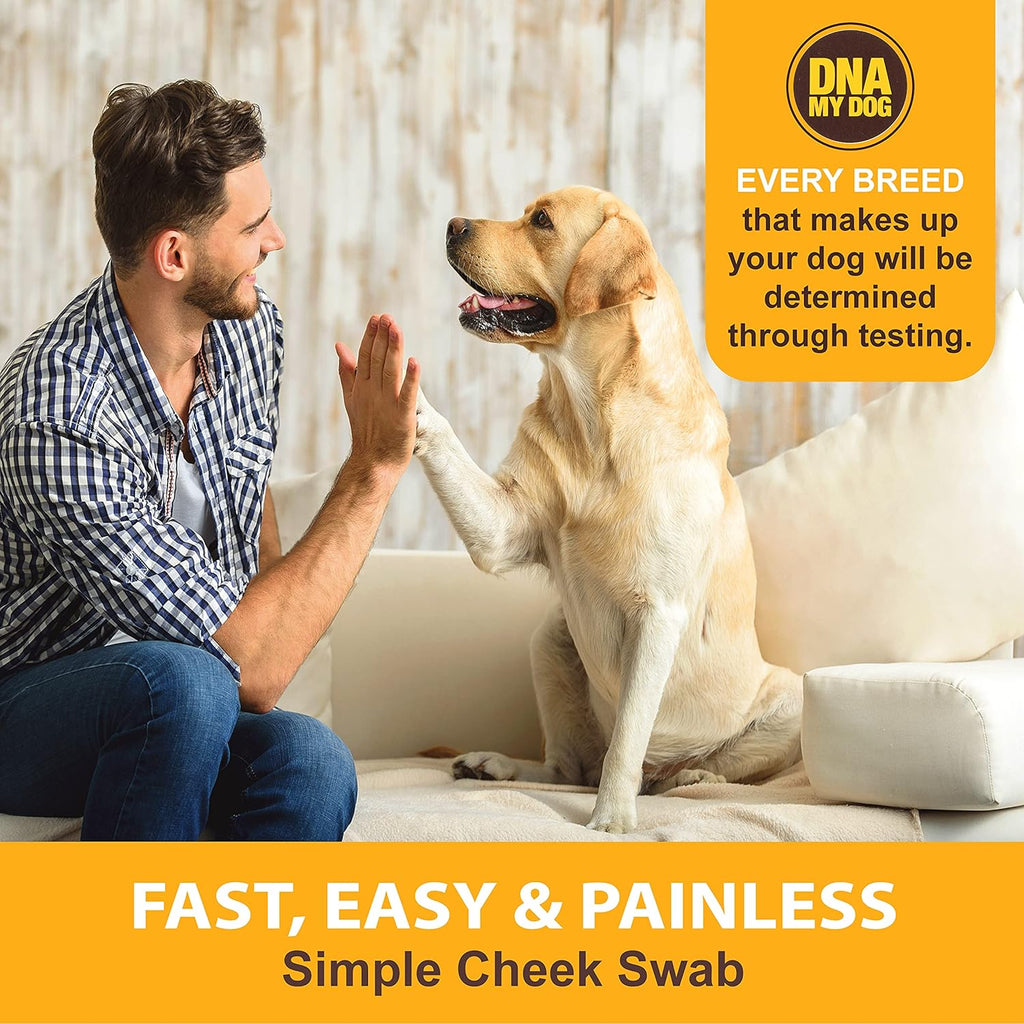 Canine Breed Identification Test Pack of 2 X37613