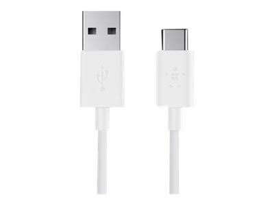 USB-A to USB-C Charge Cable - 10 ft U246