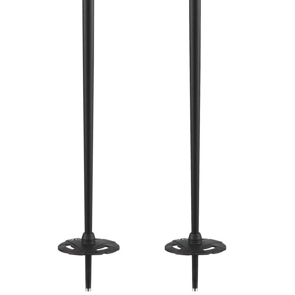 Ski Poles T58009