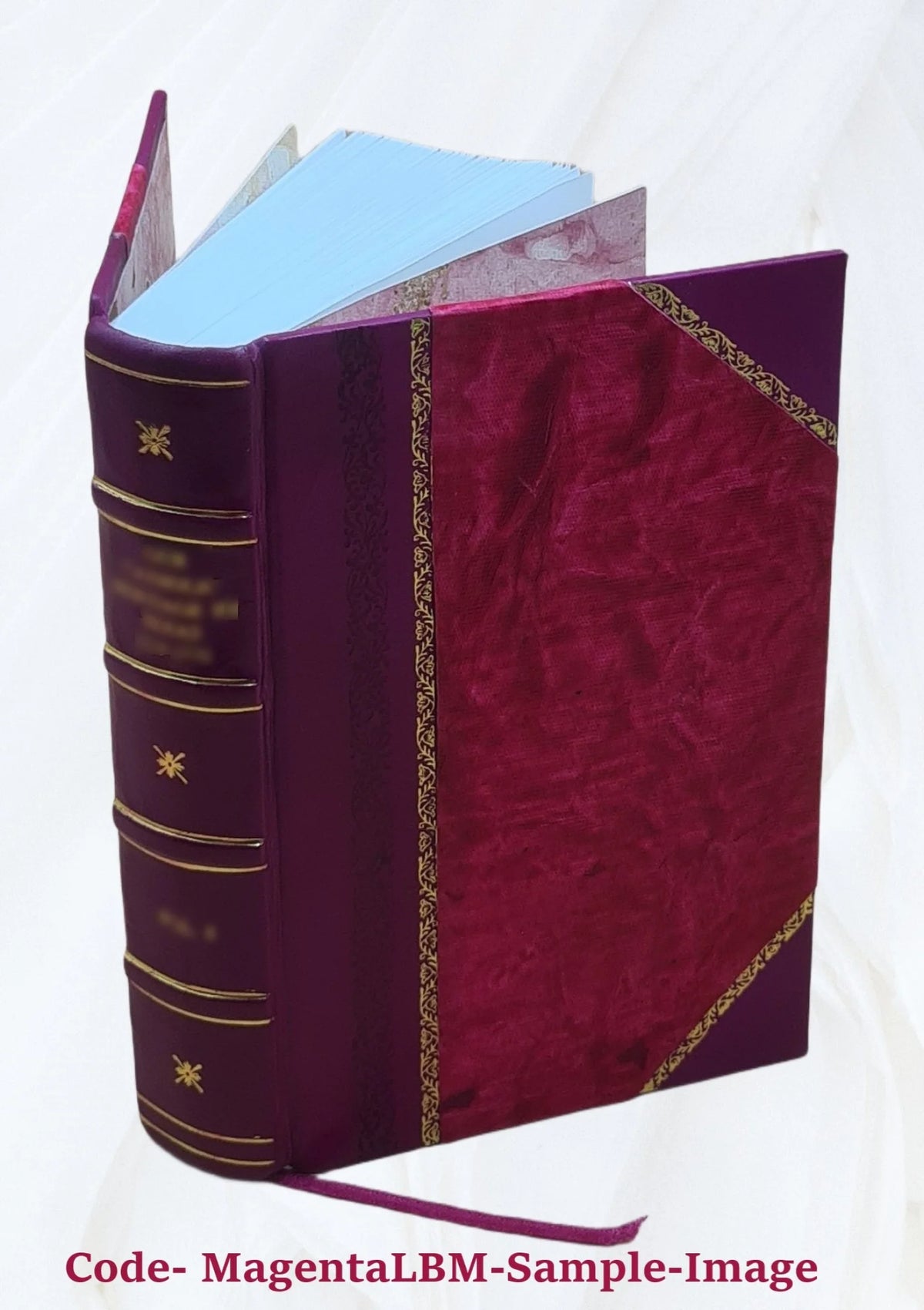 Leather Bound Book H115253