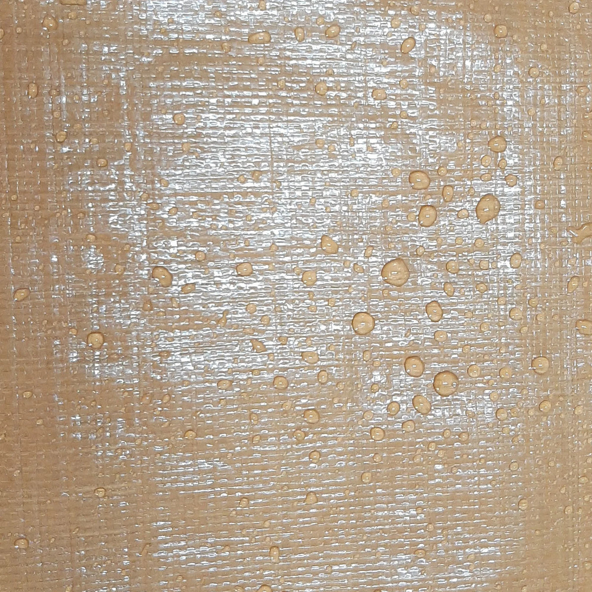 12 x 24' Polyethylene Tarp Q689320