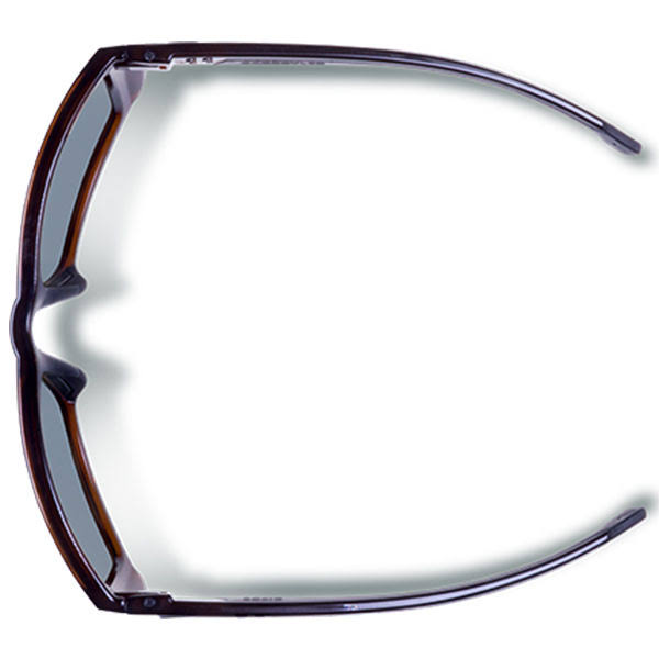 Polarized Tortoise-Green Gargoyles X186