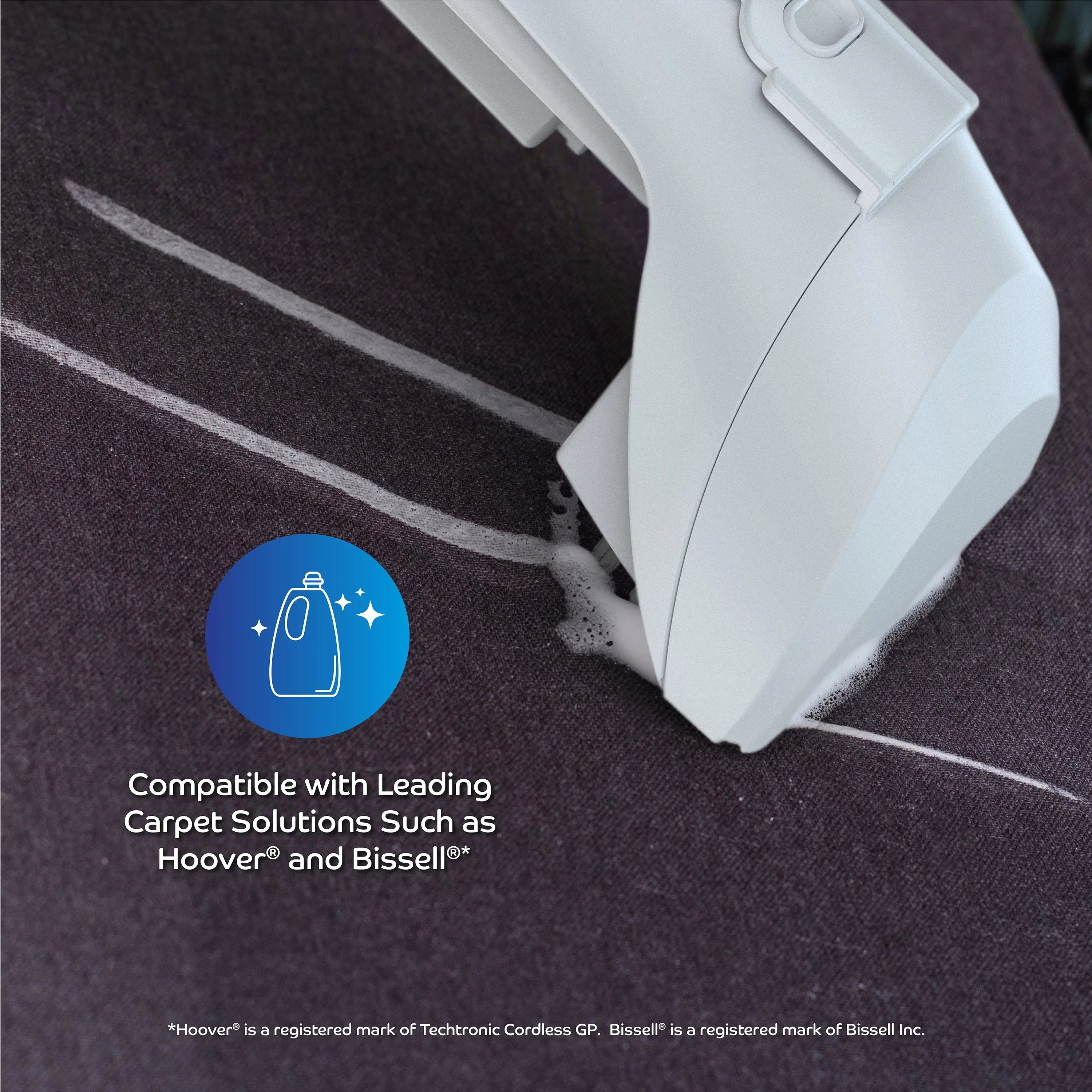 Portable Carpet and Upholstery Cleaner N46810