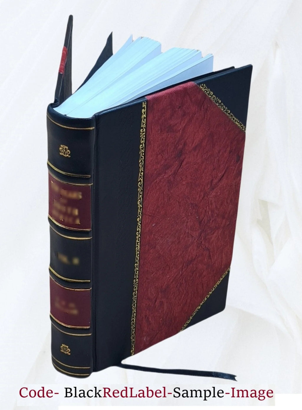 Leather Bound Roman Y82587