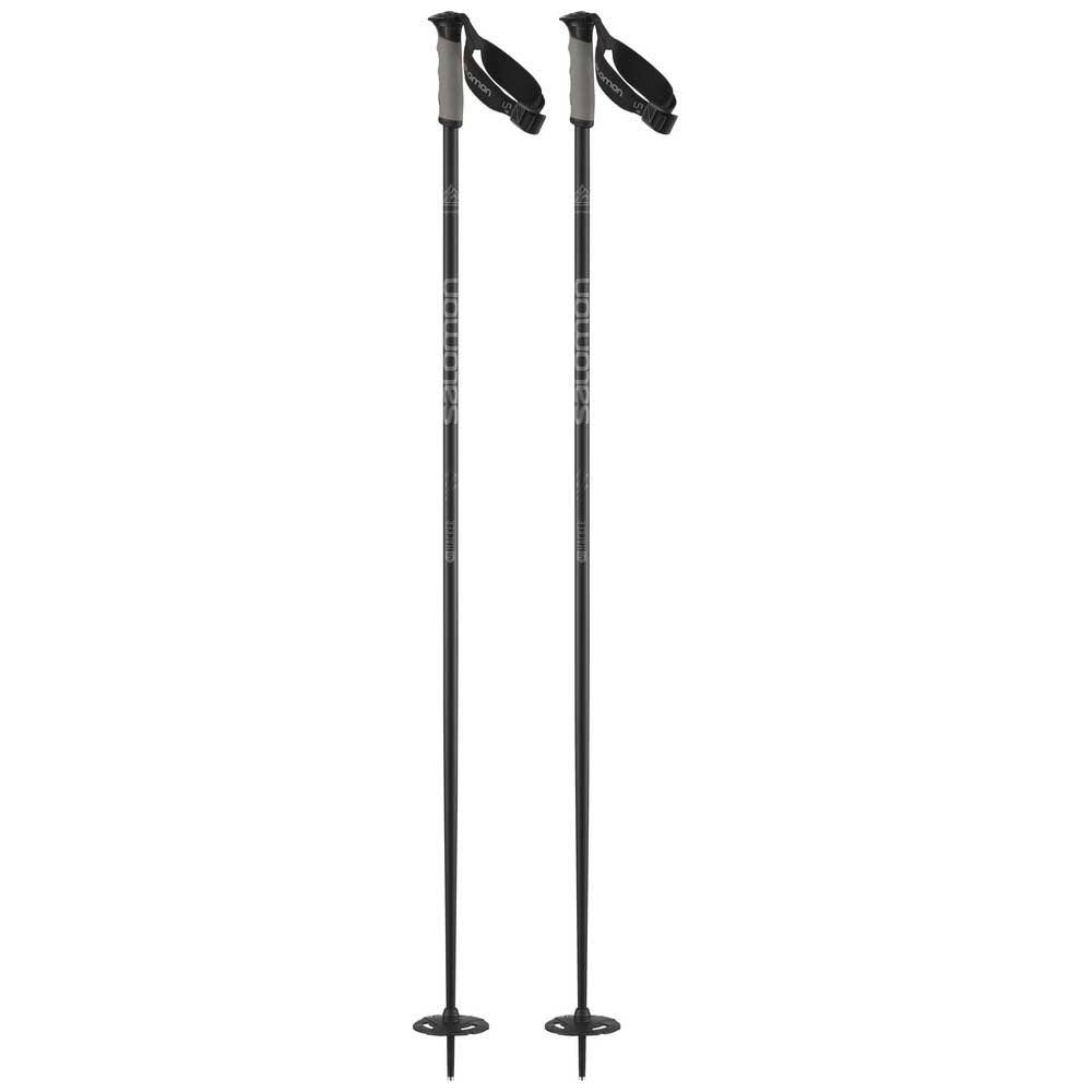 Ski Poles T58009