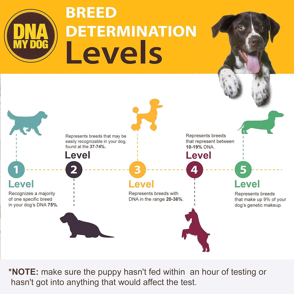 Canine Breed Identification Test Pack of 2 X37613