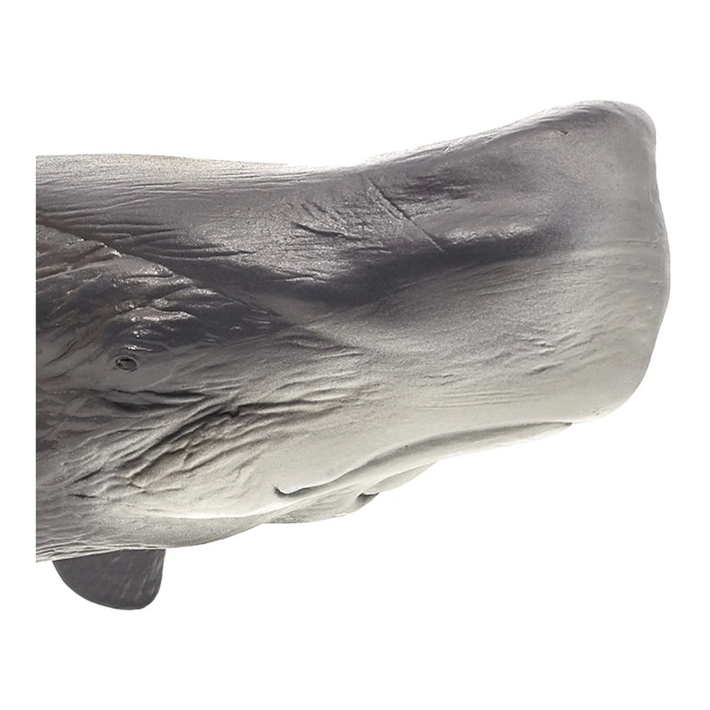 Large Sperm Whale Wildlife Figurine R92200
