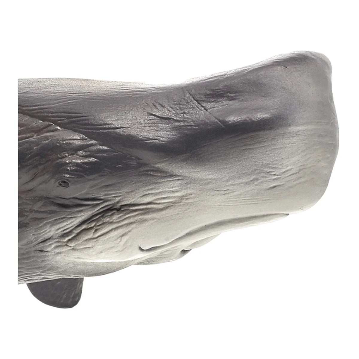 Large Sperm Whale Wildlife Figurine R92200