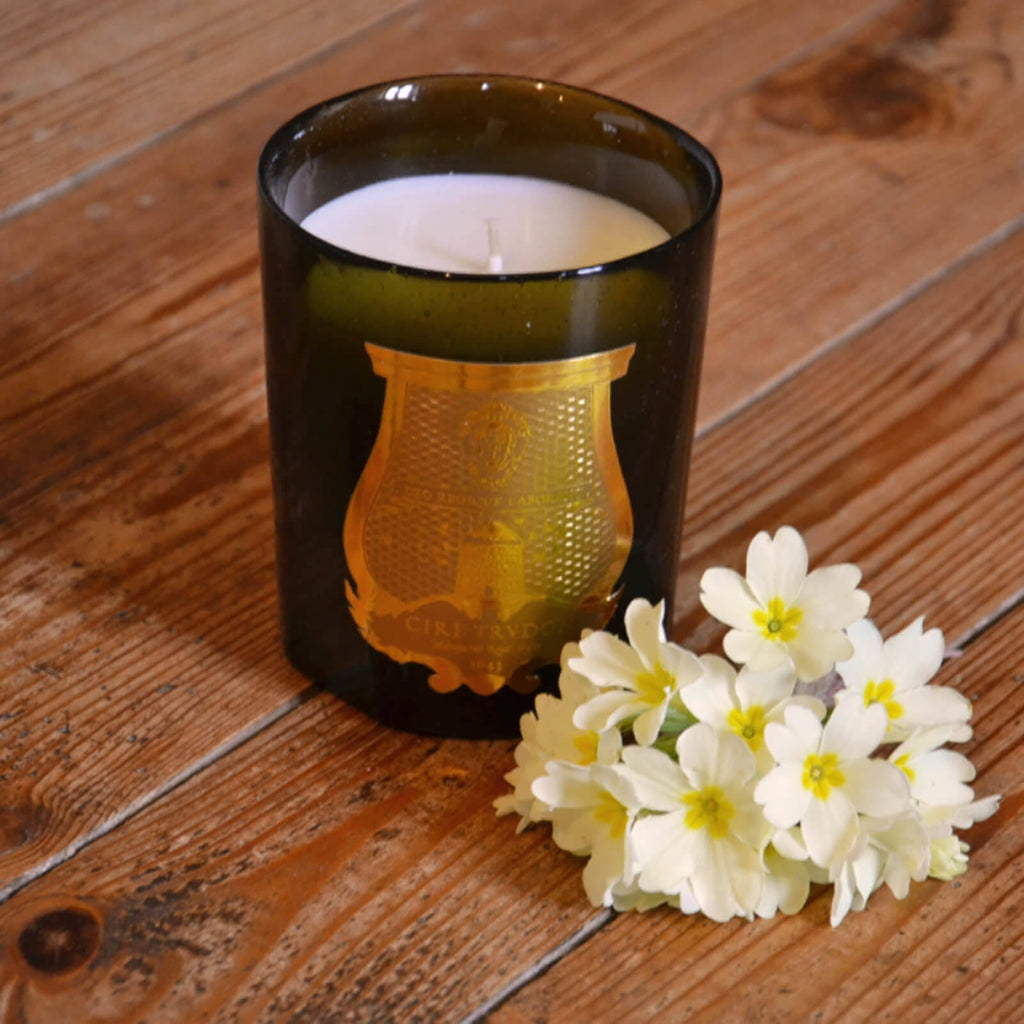 Gabriel Candle M8163